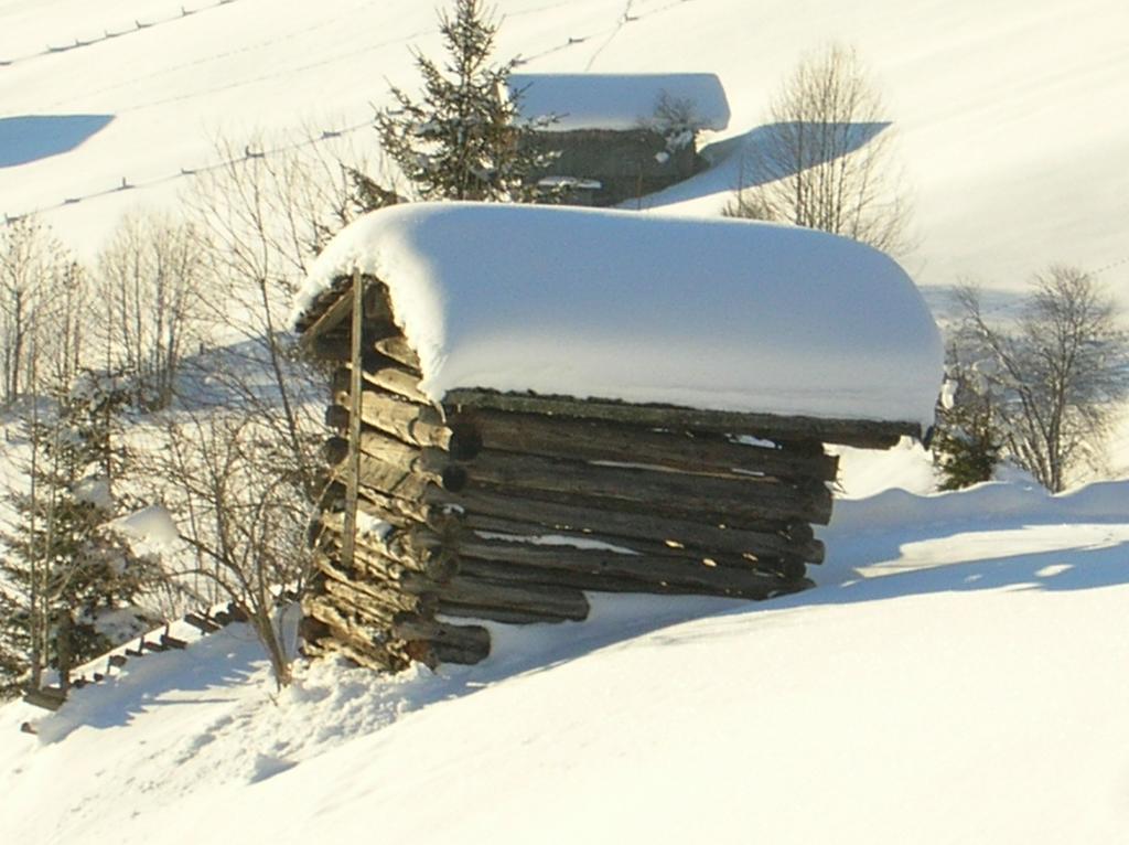 Appartamento Haus Konrad Reith im Alpbachtal Esterno foto
