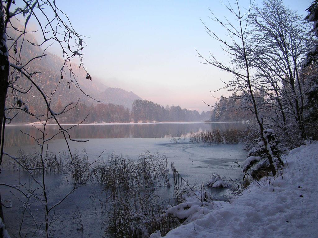 Appartamento Haus Konrad Reith im Alpbachtal Esterno foto